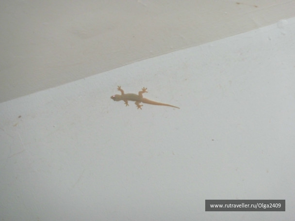 photo 128412