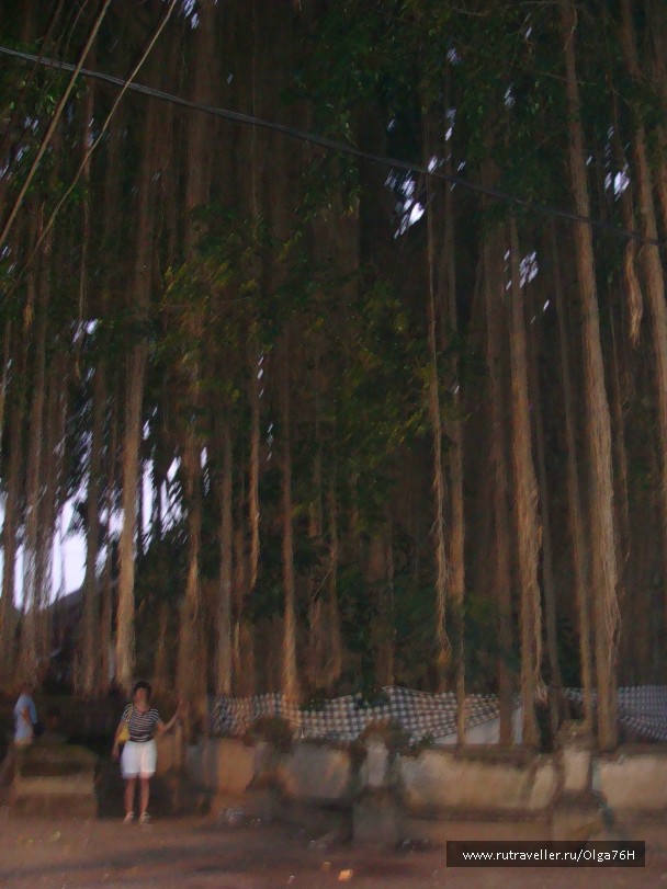photo 806043