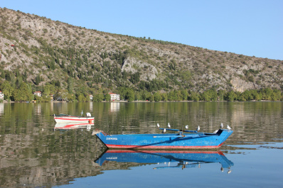 photo 172834