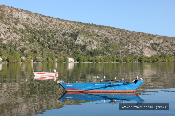 photo 172834