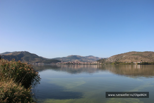 photo 172836