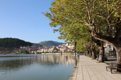 photo 172865