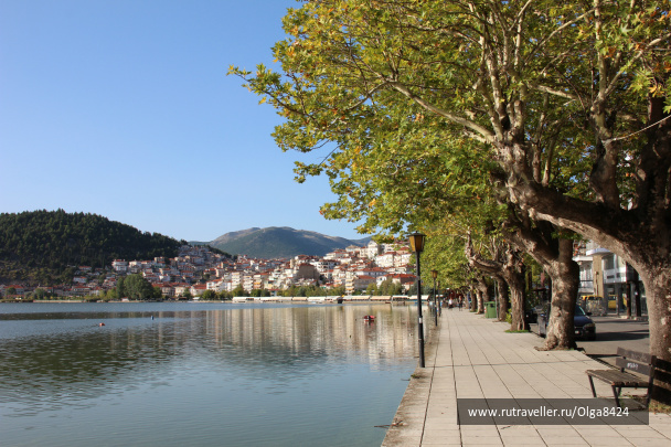 photo 172865