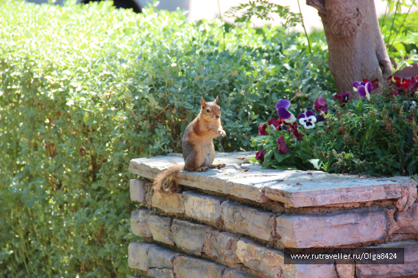 photo 97846