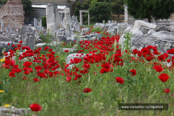 photo 97967