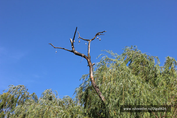 photo 105573