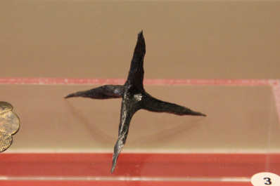 photo 238578