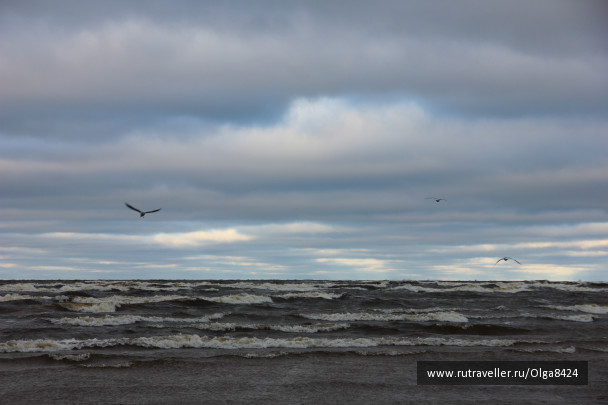 photo 238624