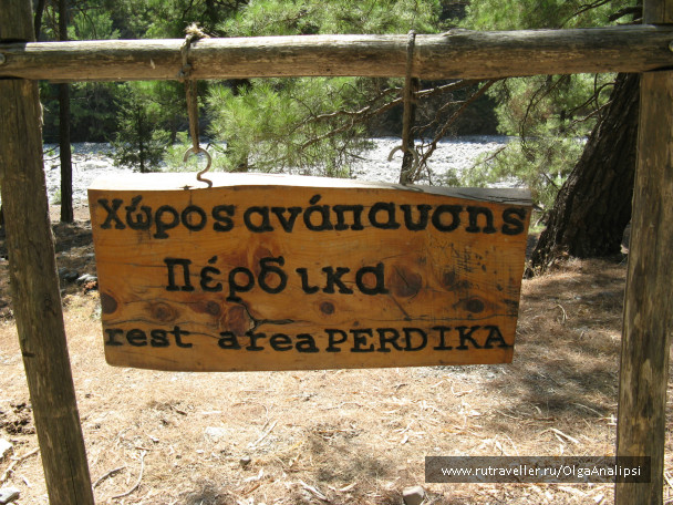 photo 468332