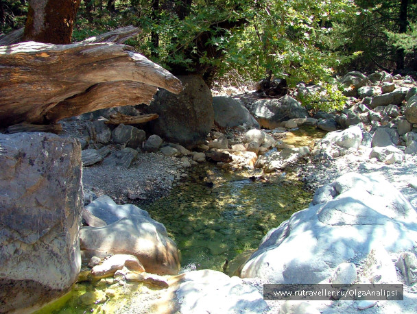 photo 468337