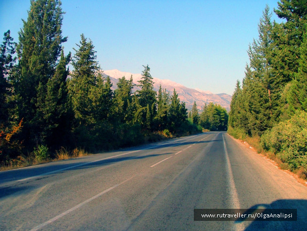photo 468350