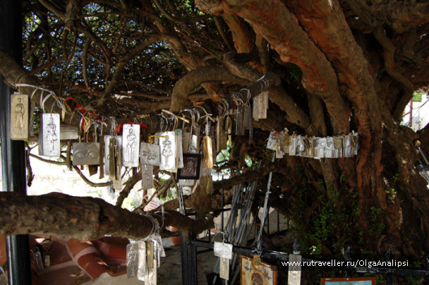 photo 468739