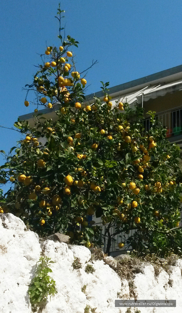 photo 1001283