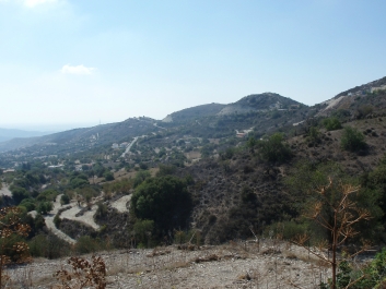 photo 833281