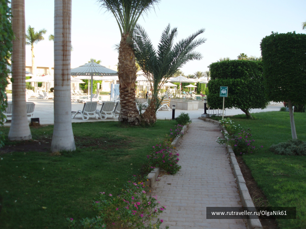 photo 1145914