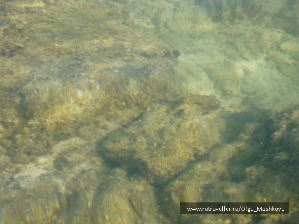 photo 97924