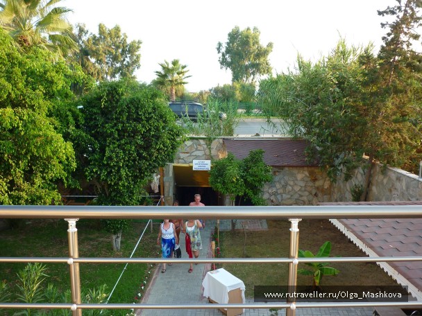 photo 538854