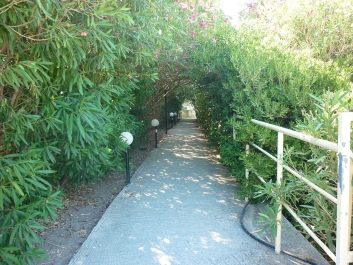 photo 832463