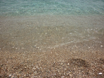 photo 832504