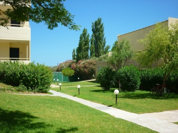 photo 832554