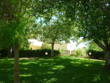 photo 832561