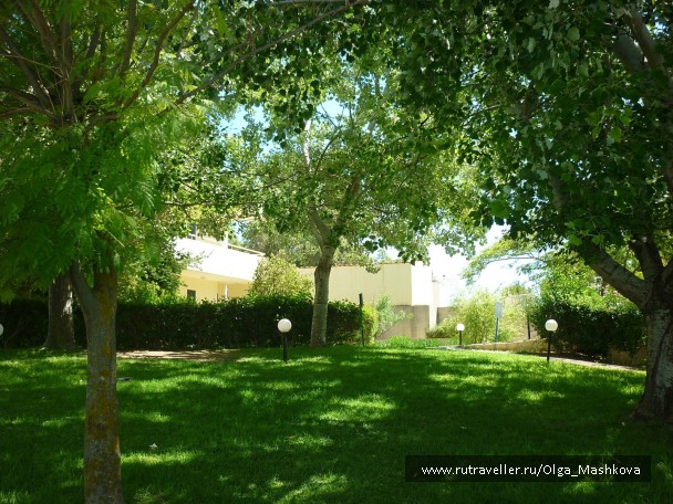 photo 832561