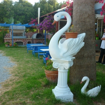 Dionysos Steki