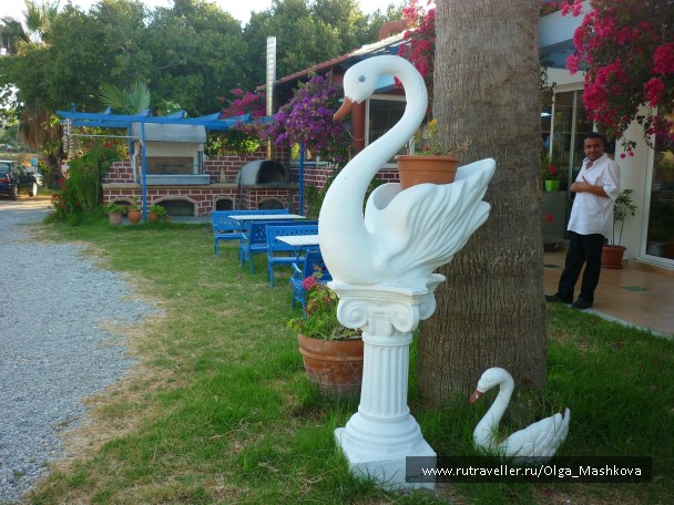 photo 832762