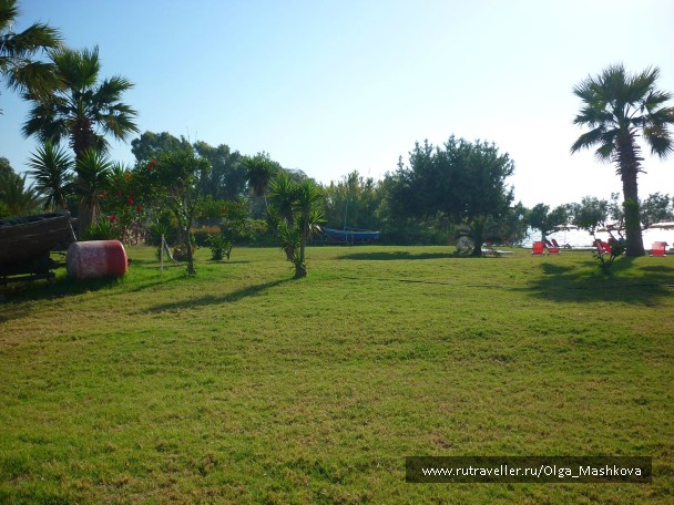photo 832786