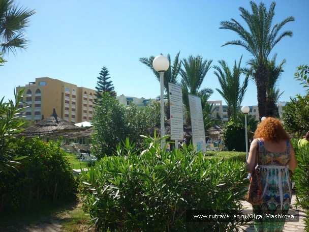 photo 937141