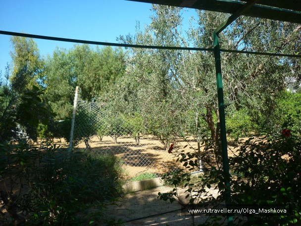 photo 952424