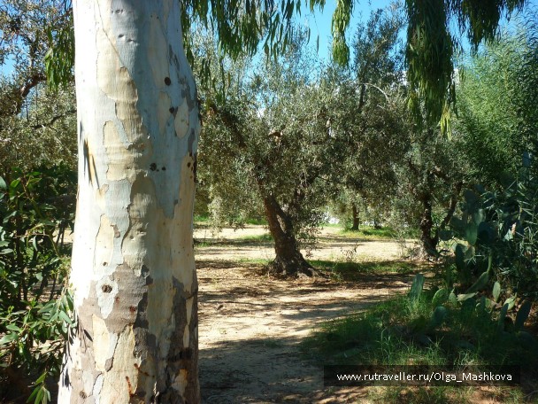 photo 952425