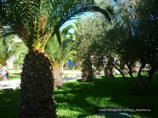 photo 962146