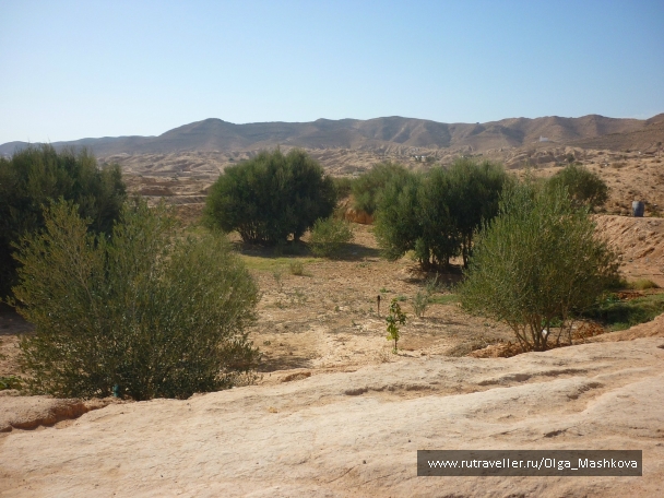photo 977282