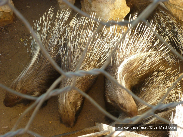 photo 1010652