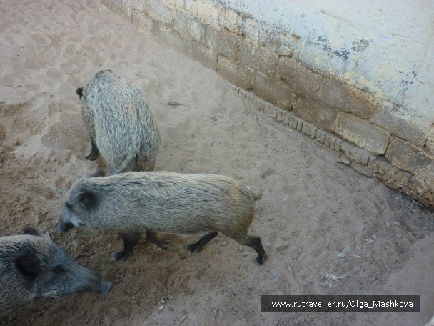 photo 1010654