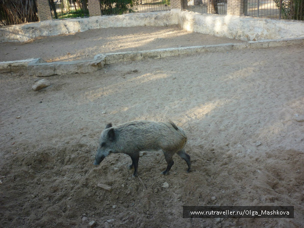 photo 1010656