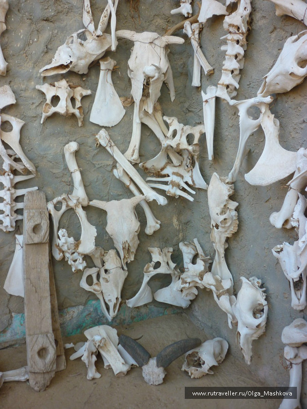 photo 1010664