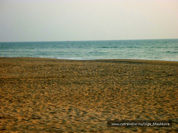 photo 1186788
