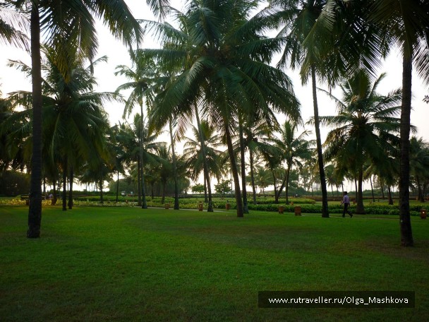 photo 1187168