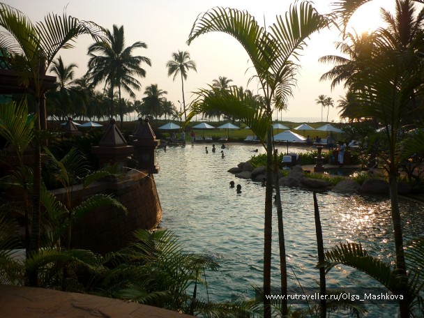 photo 1187174