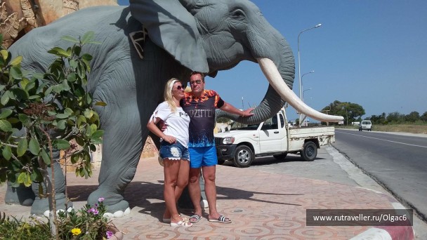 photo 1671924