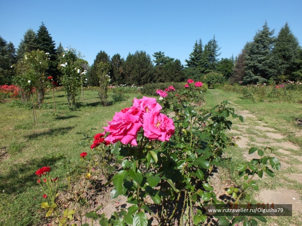 photo 823312