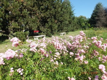 photo 823315