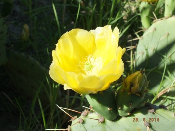 photo 823317