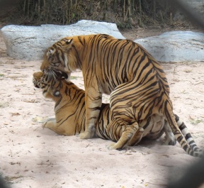 photo 167679