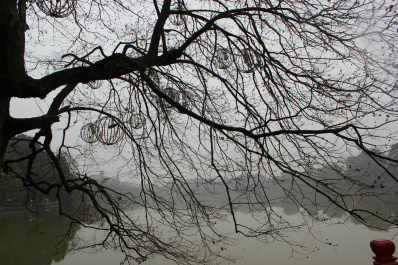 photo 146884