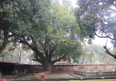 photo 150153