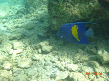 photo 154289