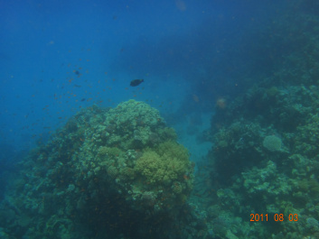 photo 154314
